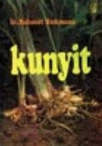 Kunyit