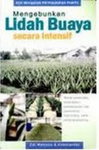 Mengebunkan Lidah Buaya Secara Intensif